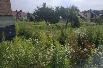 Земельна ділянка для ведення особистого селянського господарства, пл. 0.0118 га, КН: 4623683300:01:001:1091, за адресою: Львівська обл., Пустомитівський район, с. Зубра