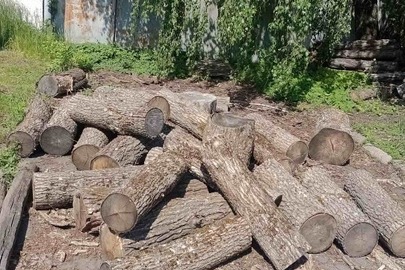 Конфіскація майна за рішенням суду: 23 частини деревини невстановленої породи, приблизно кубомасою 1,5 м. куб, прибл. розм. 3,25м х1,10м х60см.