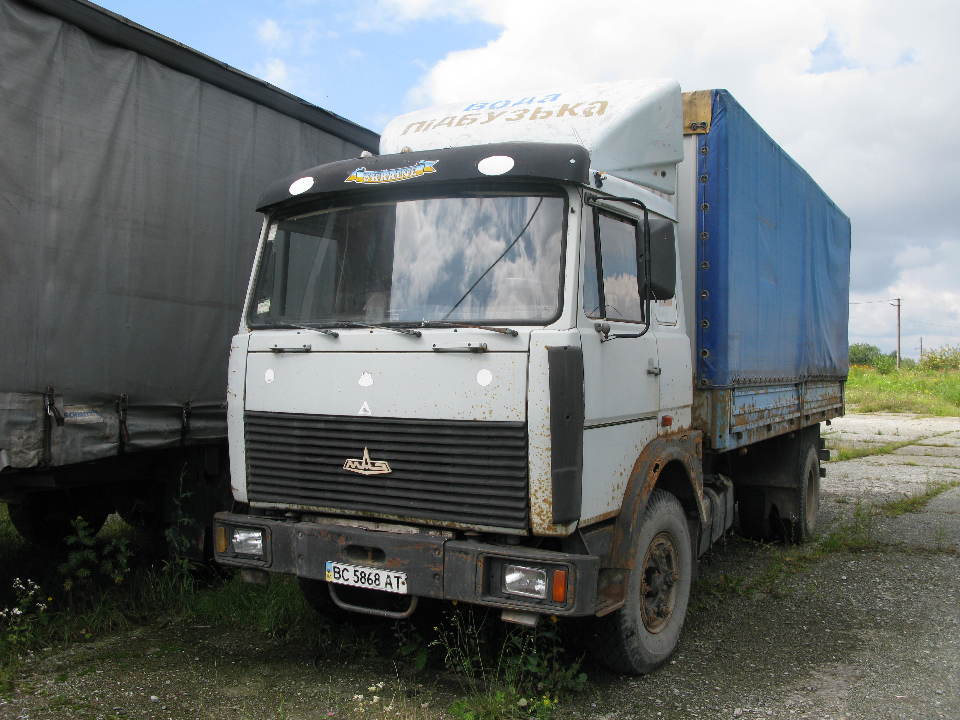 Автомобіль МАЗ-53366, бортовий - С, 1999 р.в., ДНЗ: ВС5868АТ, номер кузова Y3M533660X0007785, сірого кольору, об'єм двигуна - 14866 см. куб., дизель