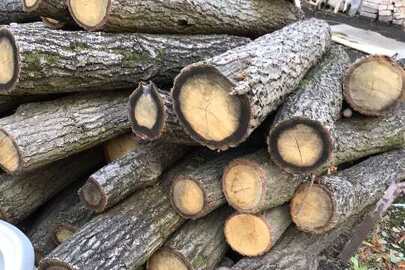 Дерев`яні розпиляні стовбури дерев 12 штук