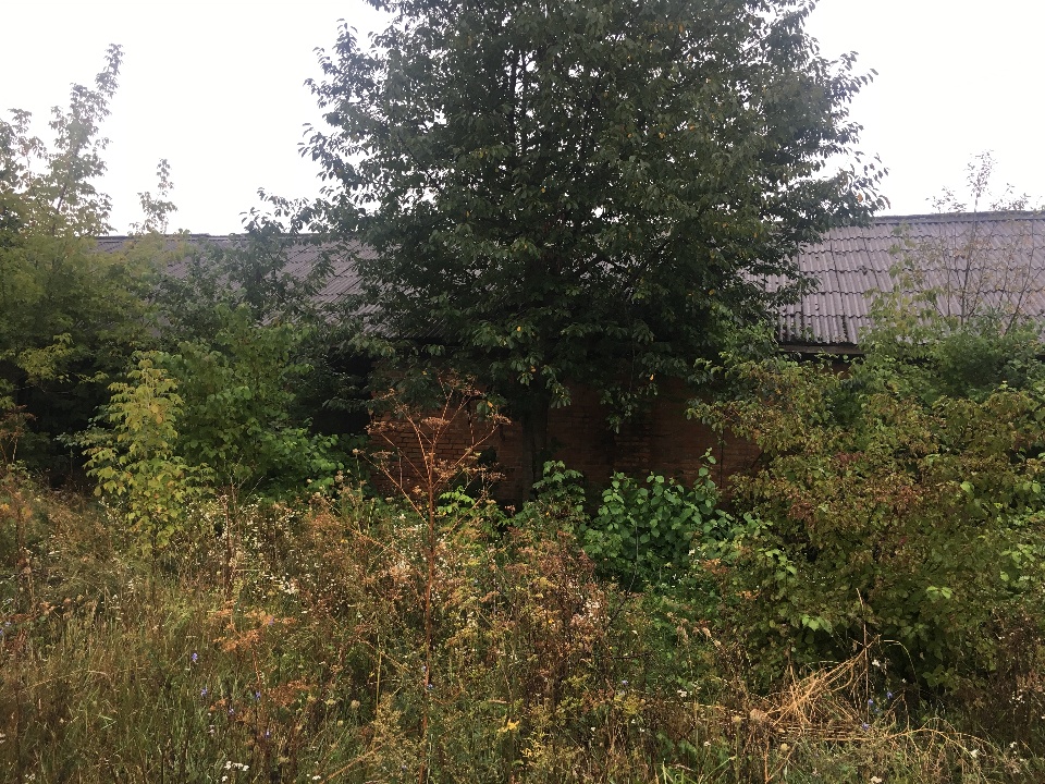 7/100 частин комплексу, яка складається з відокремленої будівлі столярного цеху, заг. пл. 438,0 кв.м., за адресою: Хмельницька обл., м. Полонне, вул. Вітковського, 31