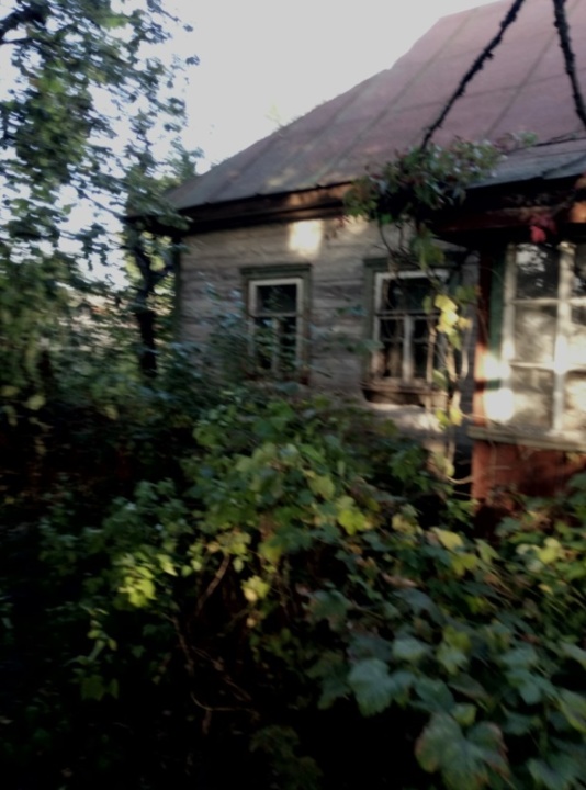 ІПОТЕКА: Житловий будинок, площею 86.9 кв.м. та земельна ділянка площею 0.25 га, К/Н 3221880802:14:138:0704, що розташовані за адресою: Київська обл., Вишгородський р-н, с. Овдієва Нива, вул. Лісова, 29