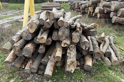 Конфіскація майна за рішенням суду: деревина, гілля, пні породи «Бук» та «Граб» загальним об'ємом 1,59 куб.м.