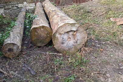 Конфіскація майна за вироком суду:неклеймована ліспродукція породи "Ялиця" у вигляді неклеймованих колод деревини загальним об'ємом 2,37 м.куб.