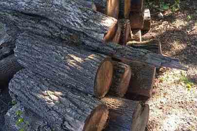 2 складометри дров (45 частин) дерев породи "Клен" та "Дуб"
