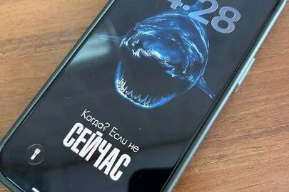 Конфісковане майно за рішенням суду: мобільний телефон марки «iPhone», моделі «12 Pro Max», s/n GONDRFR70D40, imei 1: 35157291353811 , imei 2: 351572531318327, б/в