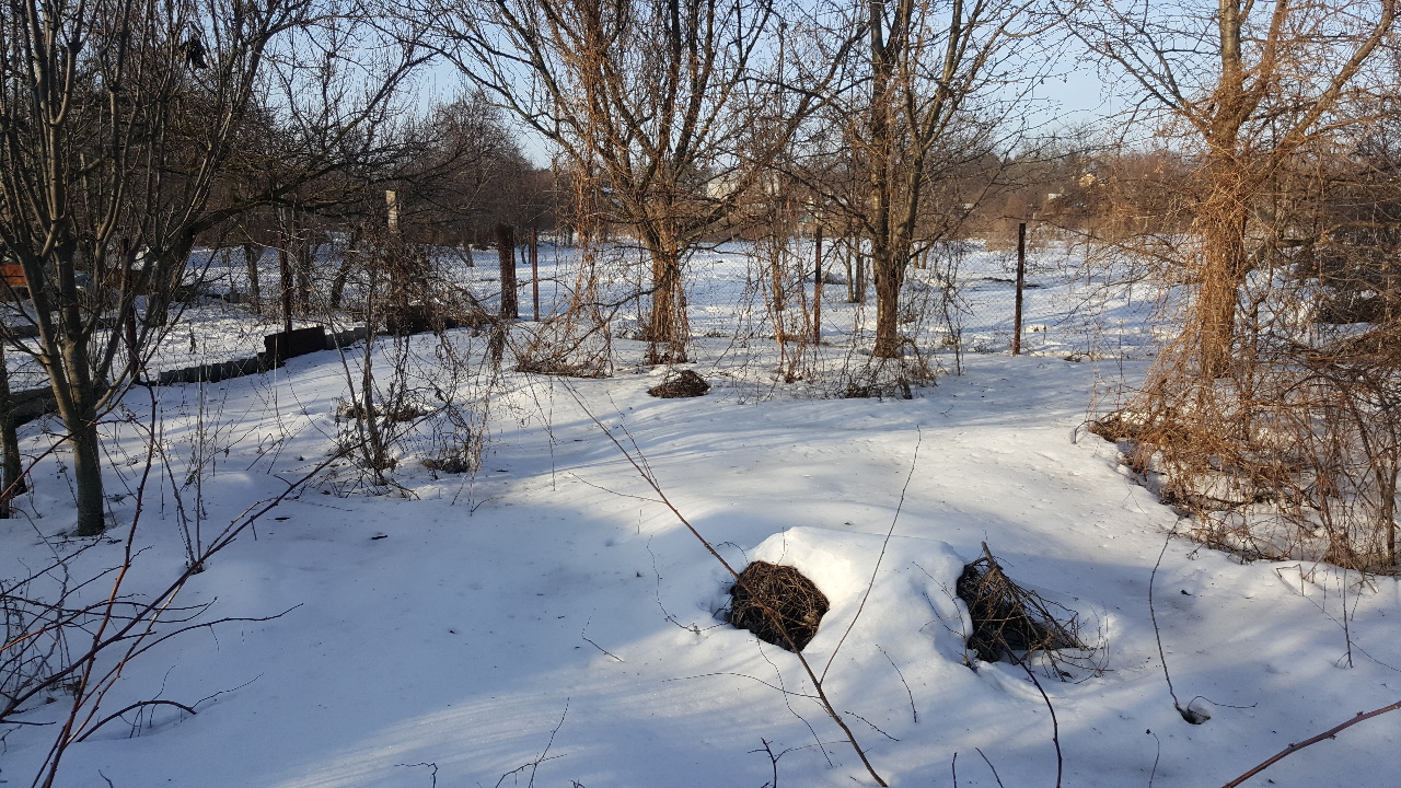 Земельна ділянка загальною площею 0,0167 га, кадастровий номер 7110136700:01:027:0040, що знаходиться за адресою: м.Черкаси, вул. С.Волкова, 243