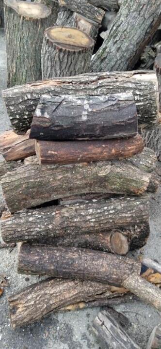 Свіжорозпилені колоди дерев діаметром від 5 до 30 см у кількості 19 шт