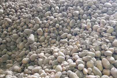 Урожай картоплі 2020 року в кількості 437000 кг.