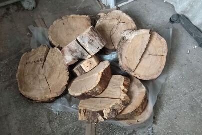 Конфіскація майна за ухвалою суду: фрагменти деревини, спиляні із дерев, з пнів дерев, 13 шт., об'ємом 0,1 куб.м
