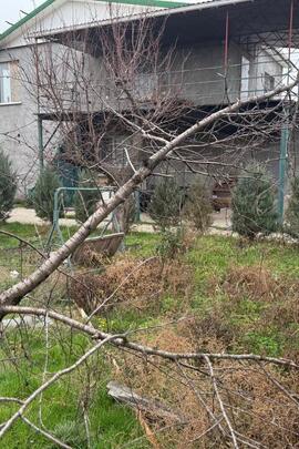 Садовий будинок загальною площею 199,2 кв.м. та земельна ділянка  кадастровий номер 4825780400:14:000:0266 площею 0,0400 га., розташовані: Миколаївська область, Снігурівський район, кооператив «Садове товариство Нафтовик-Н"», вул.Садова 3, буд. 62