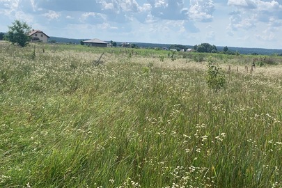 Земельна ділянка, площею 0.0798 га, кадастровий номер 3222483601:01:042:5009, що знаходиться за адресою: Київська обл., Києво-Святошинський р-н., с.Княжичі, вул.Лінійна, земельна ділянка, 45