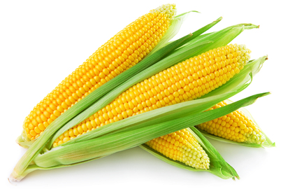 Зерно кукурудзи урожаю 2021 року у кількості 249941 кг (залікова вага) 