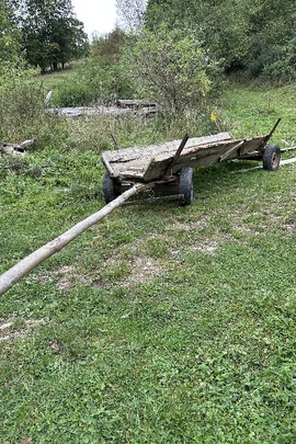 Конфіскація майна за рішенням суду: гужовий транспорт, б/в 