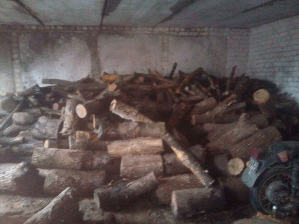 Колоди деревини у кількості 29 штук та вісім частин стовбуру деревини