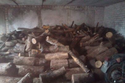 Колоди деревини у кількості 29 штук та вісім частин стовбуру деревини