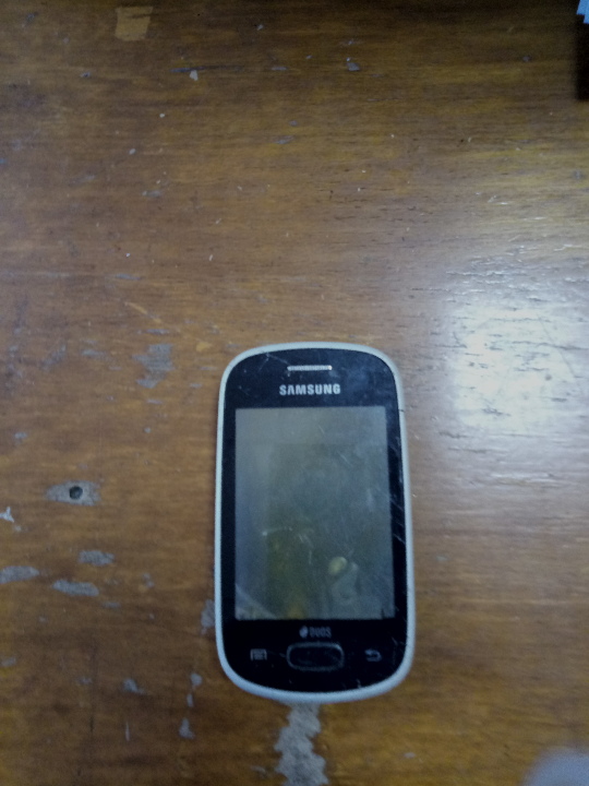 Мобільний телефон SAMSUNG DUOS