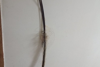 Конфіскація майна за ухвалою суду:знаряддя для рибної ловлі "Павук",б/в