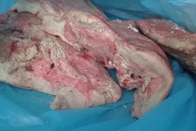 М'ясо на ребрі зі шкірою та прошарком сала свине - 7589 кг, баки в шкірі (щоковина) свина - 5289 кг, жир зі шкірою свиний - 7088 кг