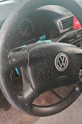 Автомобіль Volkswagen passat, 1997 року випуску, реєстраційний номер WWL42957, номер кузова WVWZZZ3BZVE031034 