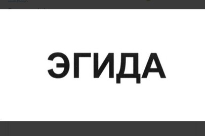 Майнові права інтелектуальної власності, а саме: торговельна марка "эгида", зареєстрована 12.08.2019, свідоцтво на торговельну марку № 262946