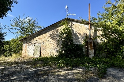 Нежитлова будівля, птичник-качатник (зерносклад), заг. пл. 1016,9 кв.м., реєстраційний номер майна: 35493944, за адресою: Черкаська область, Звенигородський (Тальнівський) р-н, с. Майданецьке, вул. (80-ї Гвардійської Дивізії) Північна, 29