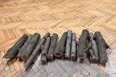 Конфісковане майно за вироком суду: бруски пиляних дерев в загальній кількості 12 (дванадцять) штук породи "акація біла"