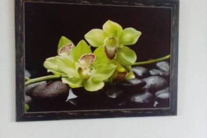 Картина із зображенням зелених орхідей