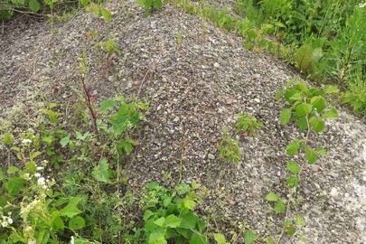 Конфісковане майно за рішенням суду, Піщано-гравійна суміш, об'ємом 0,81м.куб.