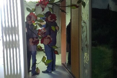 Двері до шафи, дзеркальні, на коліщатах, із зображенням троянд рожевого кольору