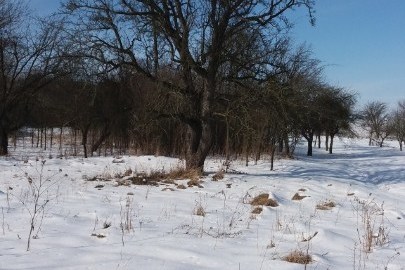 ІПОТЕКА. Земельна ділянка для ведення особистого селянського господарства площею 0.3220 га, кадастровий №4620384800:03:001:0009, за адресою: Львівська область, Бродівський район, с. Загірці, вулиця Горького, земельна ділянка без номера