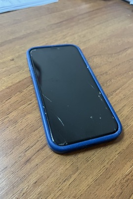 Конфісковане майно за рішенням суду - мобільний телефон марки "Iphone 11" у корпусі червоного кольору, із чохлом синього кольору, в якому знаходиться сімкарта мобільного оператора "Київстар" із номером 0974647669, б/в