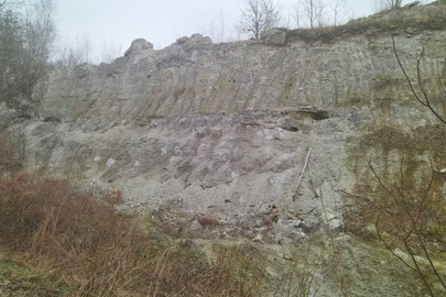 Фосфогіпс, в кількості 1000 тонн
