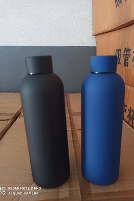 Конфісковане майно за рішенням суду: термоси, призначені для довготривалого зберігання температури води, з нержавіючої сталі- пляшка для води - 500 шт., об'ємом 500 мл, артикул TZKRQQSD – 17, нові