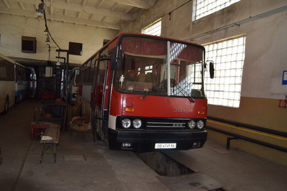 Автобус (пасажирський): IKARUS 256.54, 1987 р.в., червоного кольору, ДНЗ: ВВ6749АК, VIN: 2565419871736
