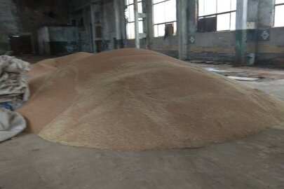 Насіння пшениці сорту "Колонія" в кількості 16 тонн