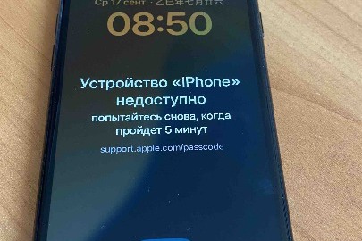 Конфісковане майно за рішенням суду: мобільний телефон IPHONE SE, model MHF83L/A, заблокований, б/в