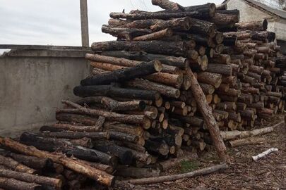 Сироростуча деревина, а саме: колоди породи сосна, загальним обсягом, близько 25 метрів кубічних