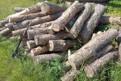 Лісоматеріали круглі породи сосна, загальною кубомасою, близько 4 метри кубічних та деревина (колоди) породи сосна, в загальній кількості 12,5 метрів кубічних