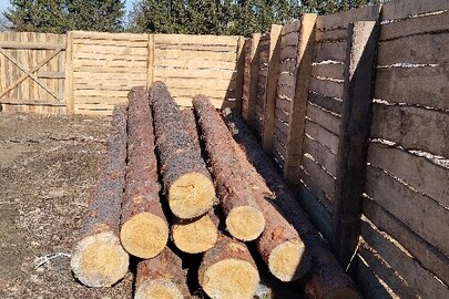 Конфісковане майно за рішенням суду: дев’ять колод сироростучих дерев породи "Сосна", приблизною довжиною 10 метрів та кубомасою 5 метрів кубічних