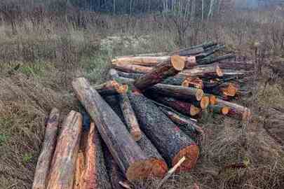 Конфісковане майно за рішенням суду, лісоматеріали круглі породи вільха, загальною кубомасою 2,43 метрів кубічних