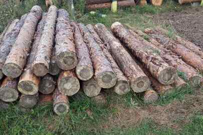 Конфісковане майно за рішенням суду: лісоматеріали круглі породи сосна, загальною кубомасою 2,658 метрів кубічних