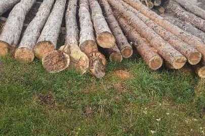 Конфісковане майно за рішенням суду, лісоматеріали круглі породи сосна, загальною кубомасою 3.08 метрів кубічних