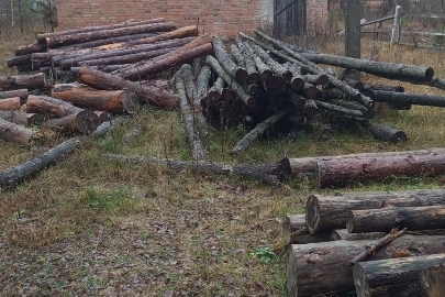 Конфісковане майно за рішенням суду: лісоматеріали круглі породи сосна, загальною кубомасою 2.5 метри кубічних