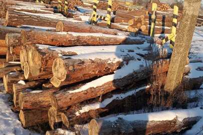 Конфісковане майно за рішенням суду, лісоматеріали круглі породи сосна, загальною кубомасою 1.57 метрів кубічних