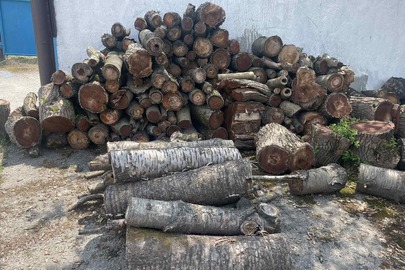 Конфіскація майна за рішенням суду: частини стовбурів дерев у кількості 127 штук різних розмірів та порід